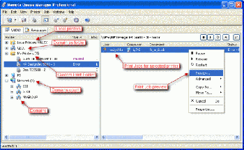 скриншот Remote Queue Manager Professional