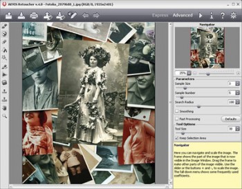 скриншот AKVIS Retoucher