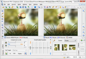 скриншот Advanced JPEG Compressor