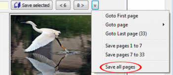 скриншот Portable Flickr Downloader