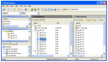скриншот Blue Explorer