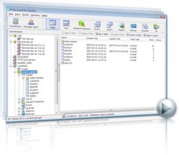 скриншот Navicat Premium