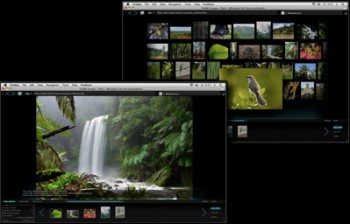 скриншот OutWit Images