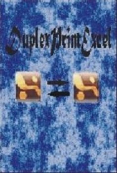 скриншот Duplex Print Excel