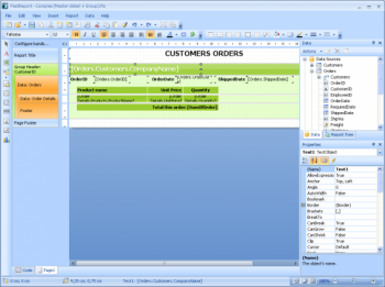 скриншот FastReport.Net