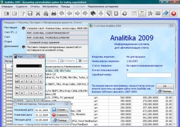 скриншот Analitika 2009