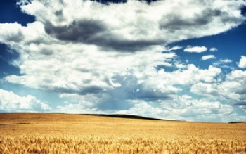 скриншот Find Your Stillness