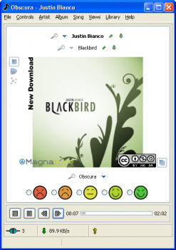 скриншот Evolution Player