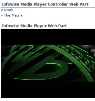 скриншот Infowise Media Player