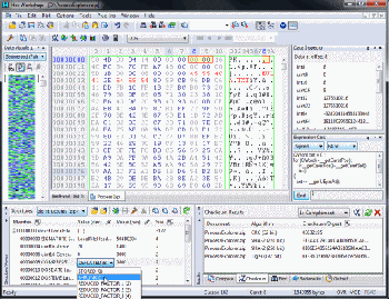 скриншот Hex Workshop