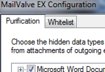 скриншот MailValve EX