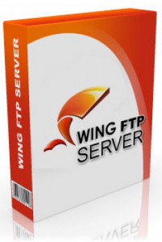 скриншот Wing FTP Server