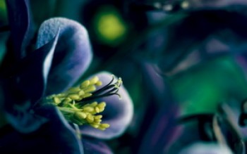 скриншот Spring Time