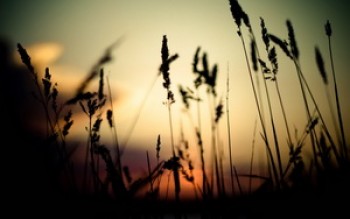 скриншот One Last Breath