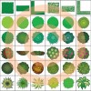 фотография Artisans Gardens Landscape Design Symbols in Plan View color 