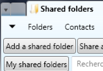 скриншот NetGyver Express