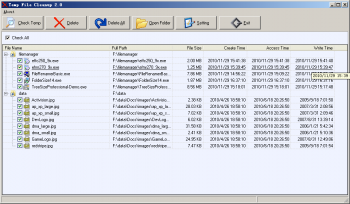 скриншот Temp File Cleanup