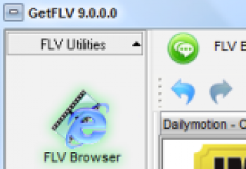 скриншот GetFLV