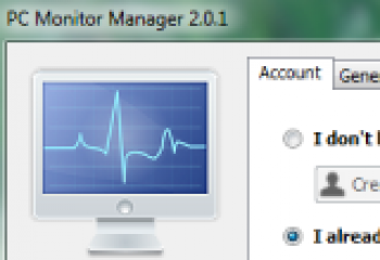 скриншот PC Monitor Manager