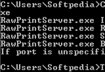скриншот Raw Print Server
