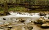 фотография Small Waterfalls in River