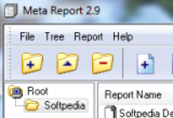 скриншот MetaReport