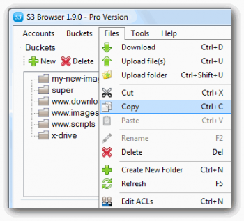 скриншот S3 Browser