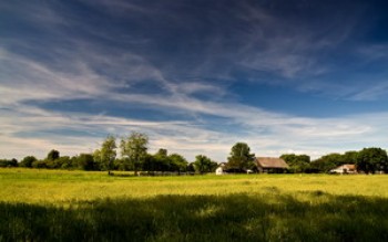 скриншот In My Dreams