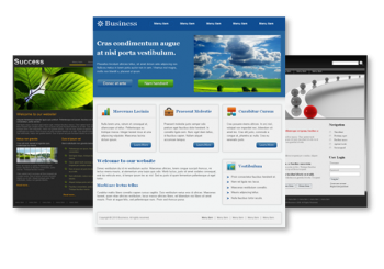 скриншот Website Realizer