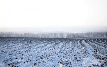 скриншот Winter Field