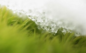 скриншот Grass Under The Snow