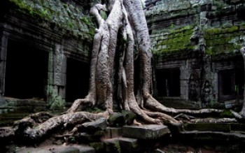 скриншот Amazing Ta Prohm
