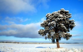 скриншот Frozen Tundra