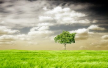 скриншот In The Meadow