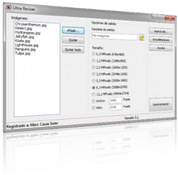 скриншот Ultra Resizer