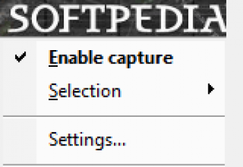 скриншот Capture Text