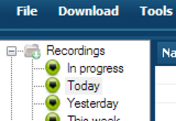 скриншот Replay Media Catcher