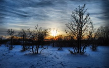 скриншот Winter Sunset