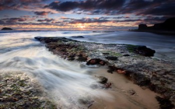 скриншот Starfish Party