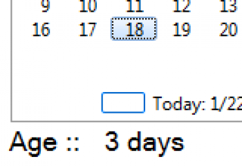 скриншот Age Calculator 