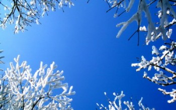 скриншот Sorrounded