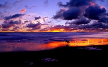 скриншот Lonely