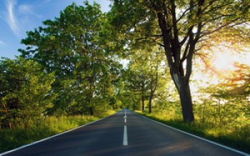 скриншот One Path