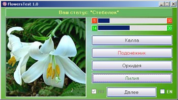 скриншот FlowersTest