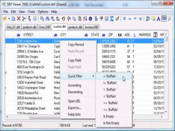 скриншот DBF Viewer 2000
