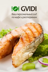 скриншот Gvidi