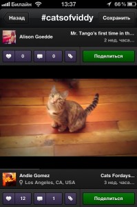 скриншот Viddy