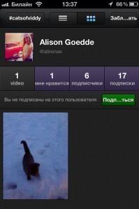 скриншот Viddy