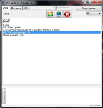 скриншот WFT Windows Manager