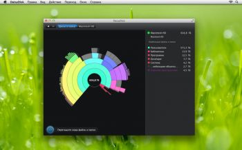 скриншот DaisyDisk